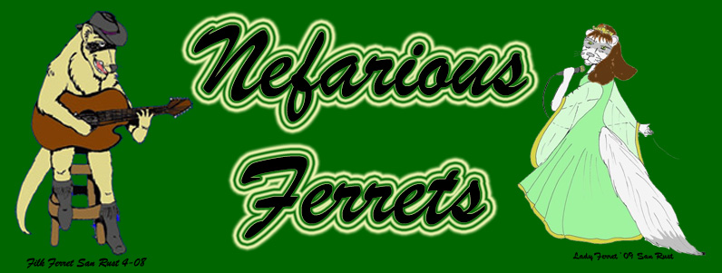 The nefarious ferret logo consists of a male ferret on the left with a guitar and a female ferret on the right with a microphone and Nefarious Ferrets text in the middle.
